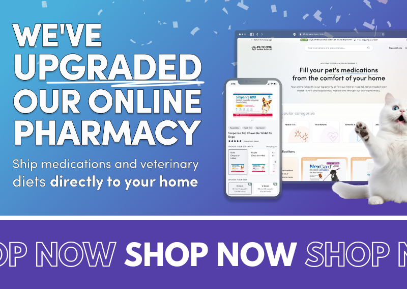 Carousel Slide 1: Visit our new and improved online pet pharmacy!